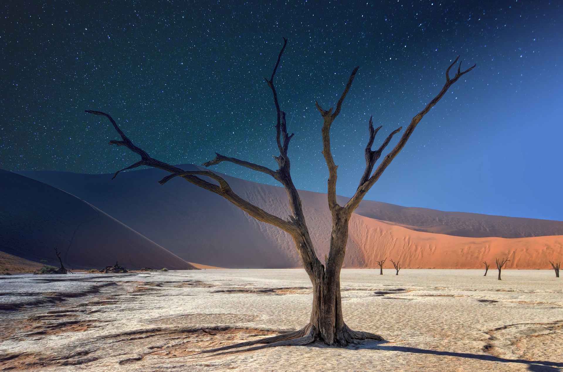 Sotto il cielo della Namibia